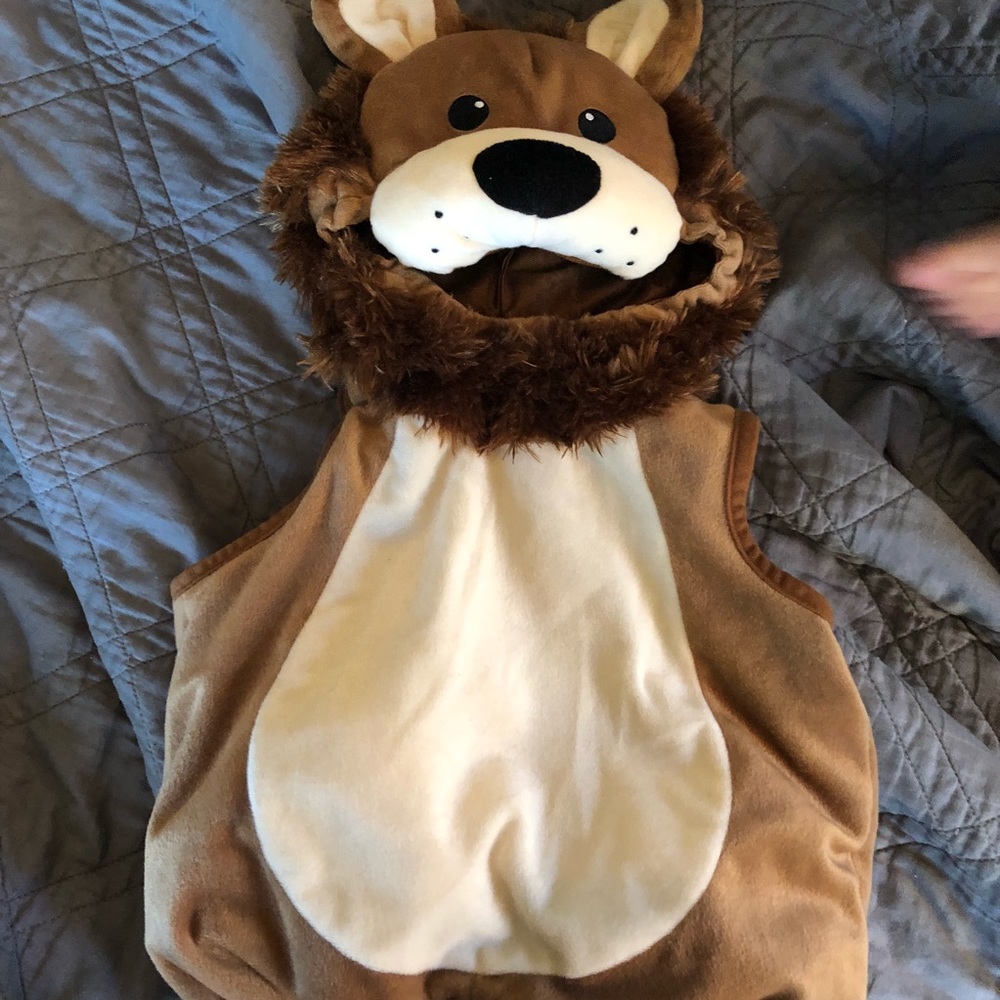 baby lion costume
